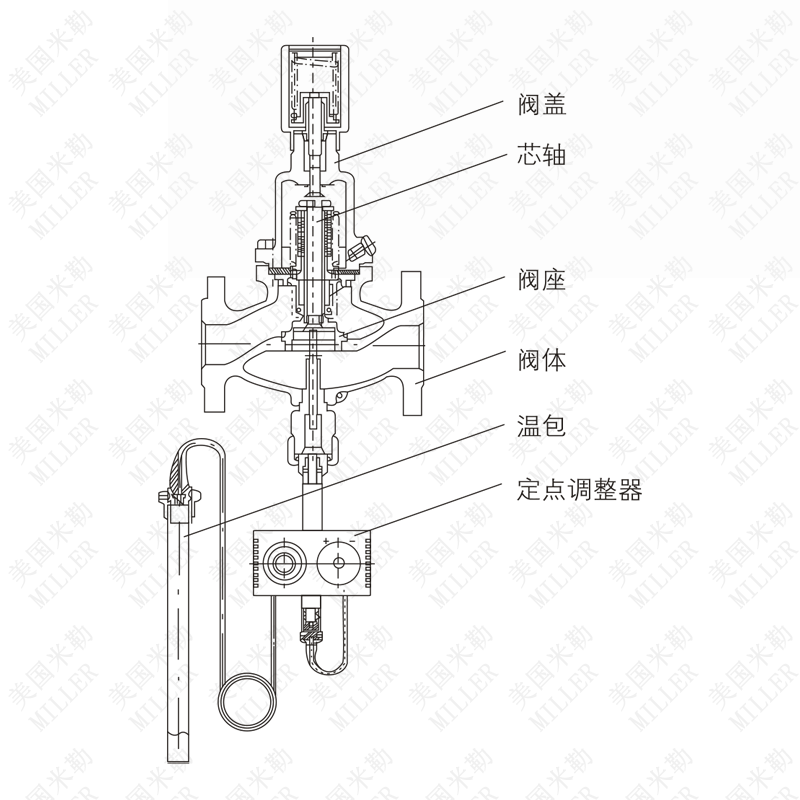 進口自力式溫度控制閥結構圖